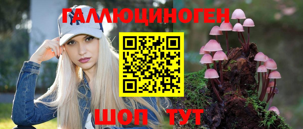 Курчатов  Галлюциногенные грибы мицелий  Вход с VPN 