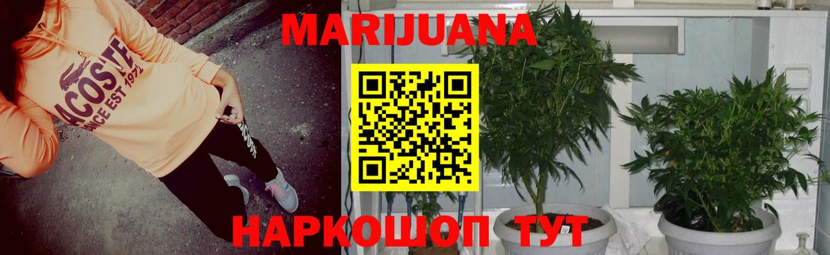 Марихуана конопля  Вход с VPN  Курчатов  Бошки марихуана White Widow  Бошки Шишки ГИДРОПОН  Каннабис Ganja 